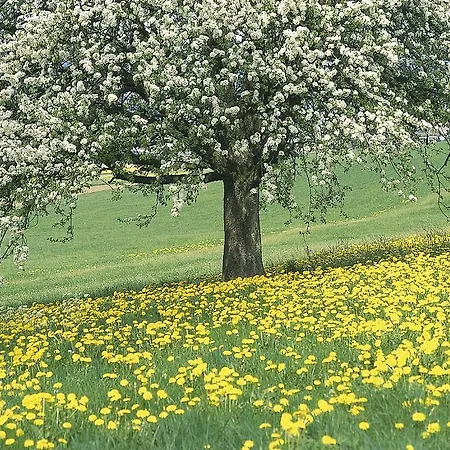 Romantik Parkhotel Het Gulpdal 4* סלנאקן
