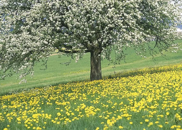 Romantik Parkhotel Het Gulpdal 4* Slenaken