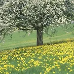 Romantik Parkhotel Het Gulpdal 4* Slenaken